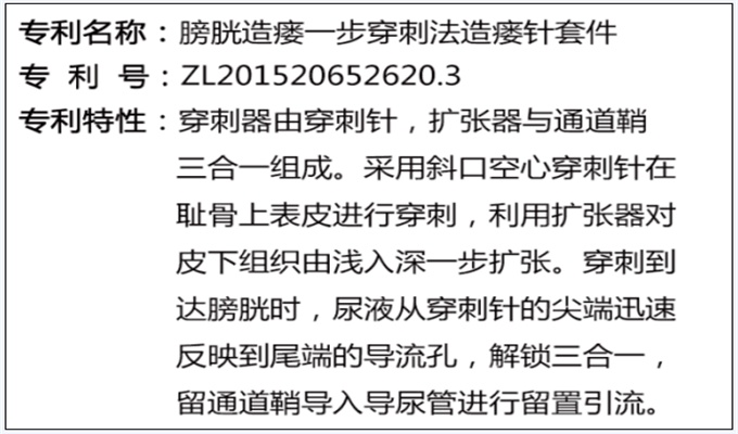 一次性使用無菌引流導(dǎo)管套裝（球囊型）