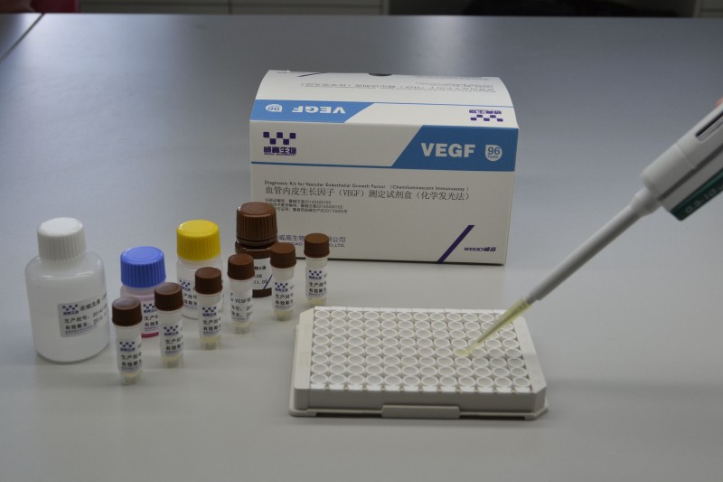 VEGF血管內(nèi)皮生長因子（化學發(fā)光法）
