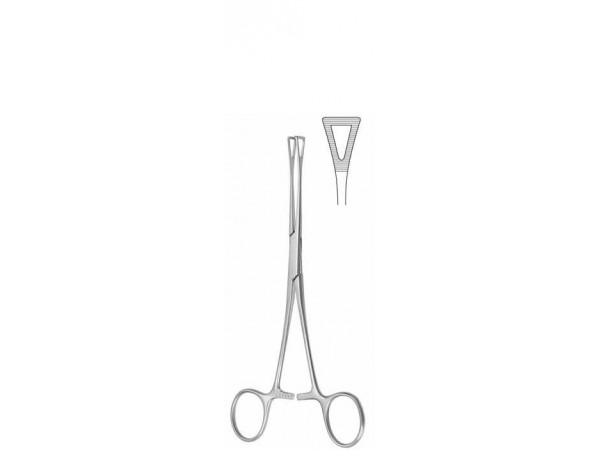 德國西姆CM 組織鉗