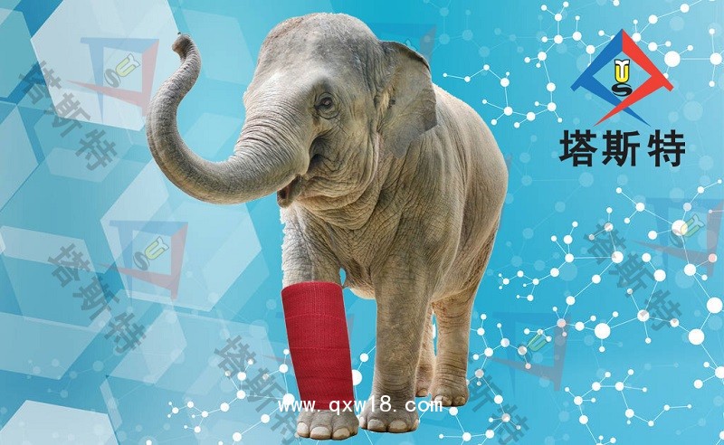 塔斯特高分子夾板繃帶舒適安全