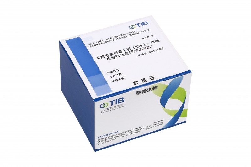 單純皰疹病毒Ⅰ型（HSV-Ⅰ）核酸檢測試劑盒