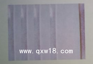 醫(yī)用功能性敷料