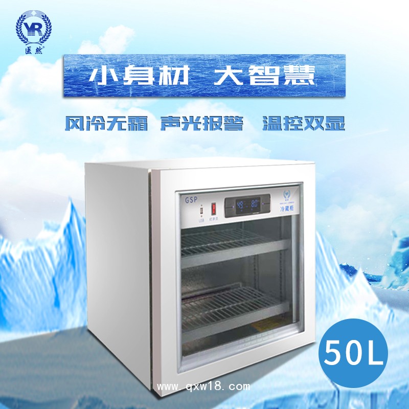 醫(yī)然迷你小型冷藏柜 立式桌面式小冰柜