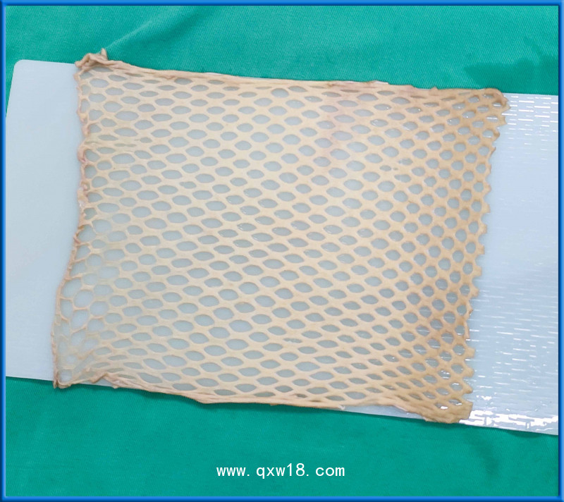 4MED植皮片制網(wǎng)器