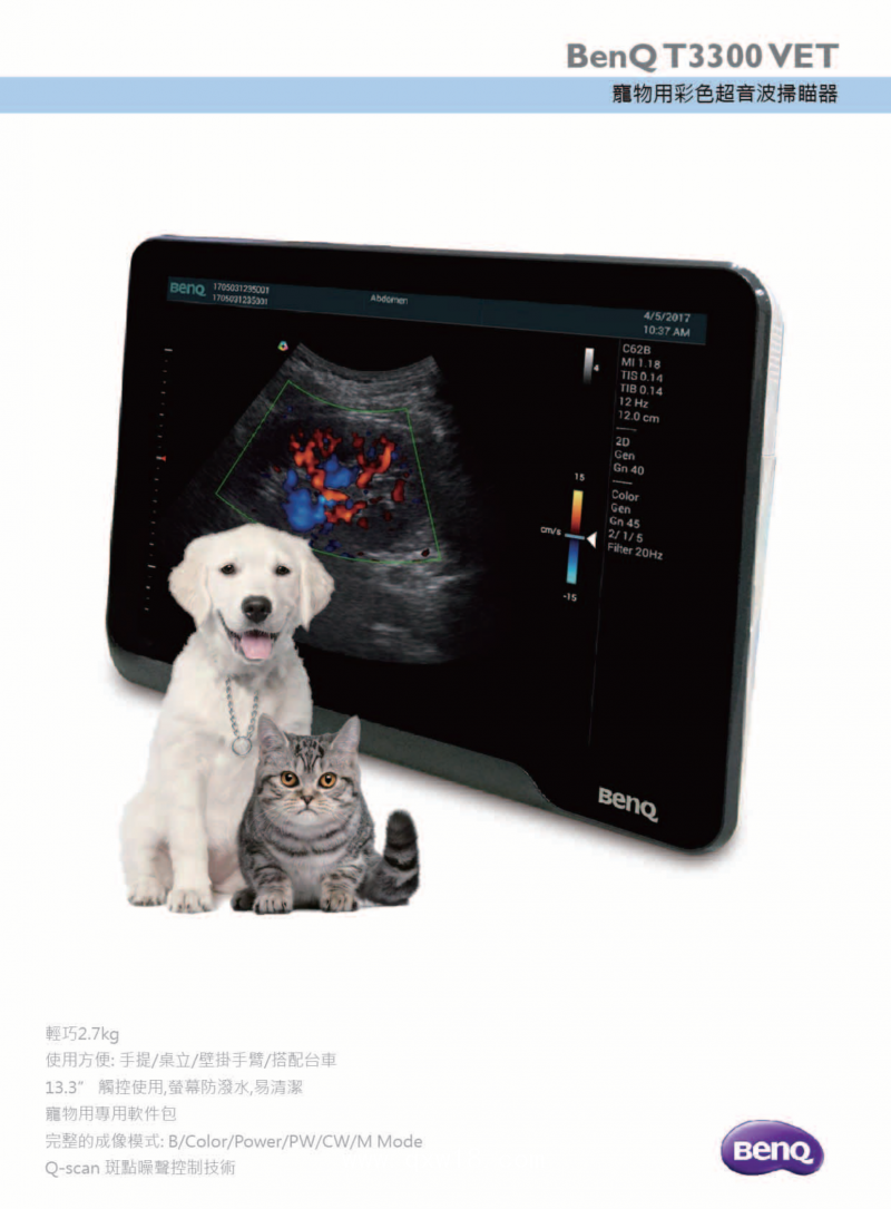 便攜式超聲和掌上超聲