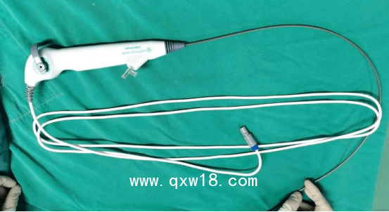 斑馬一次性電子輸尿管軟鏡