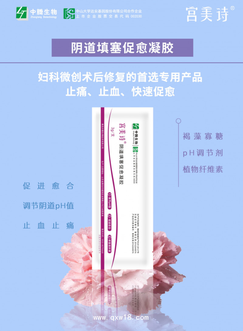 宮美詩陰道填塞促愈凝膠