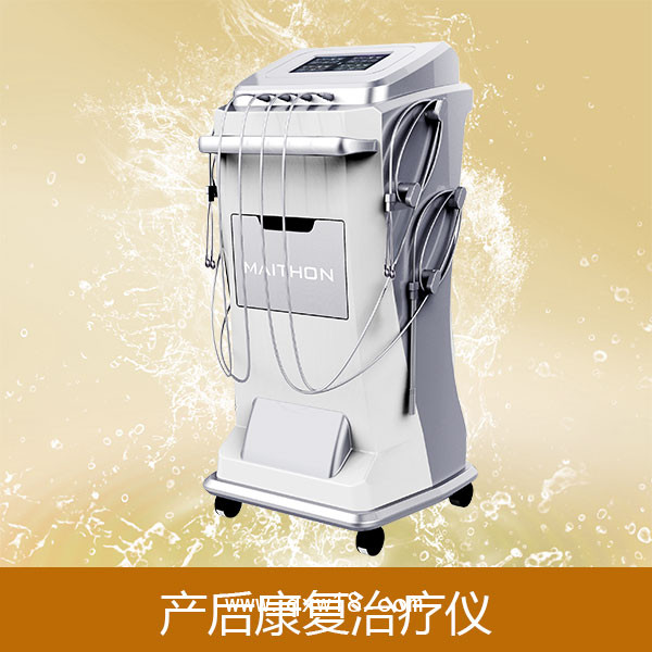 產(chǎn)后盆底刺激治療儀