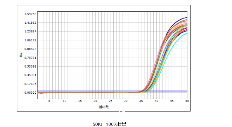 丙型肝炎病毒核酸測定試劑盒（PCR-熒光探針法）