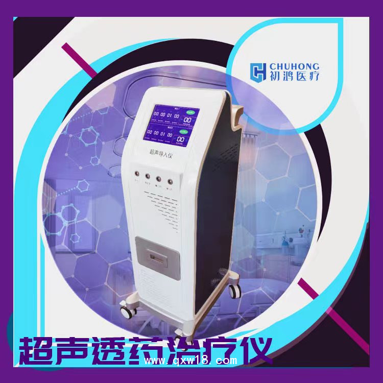 初鴻動力溫控經(jīng)皮給藥治療儀YKX-CD