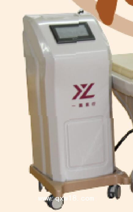 一真 熏蒸床 YZ-200A