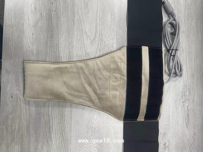 三鼎康盛前列腺治療儀