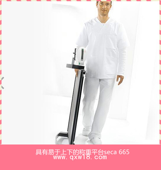 醫(yī)用輪椅秤seca 665
