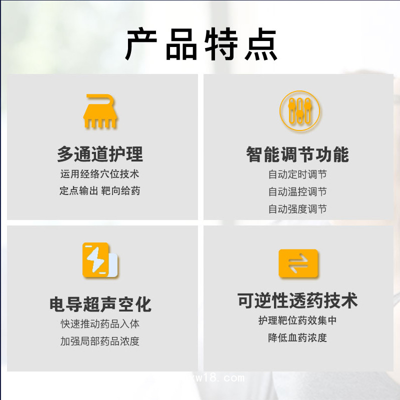 多功能超聲透藥儀 超聲透藥儀廠家直銷(xiāo) 藥物導(dǎo)入儀生產(chǎn)廠家