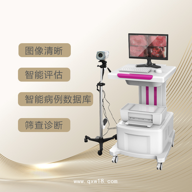 數(shù)碼電子陰道鏡
