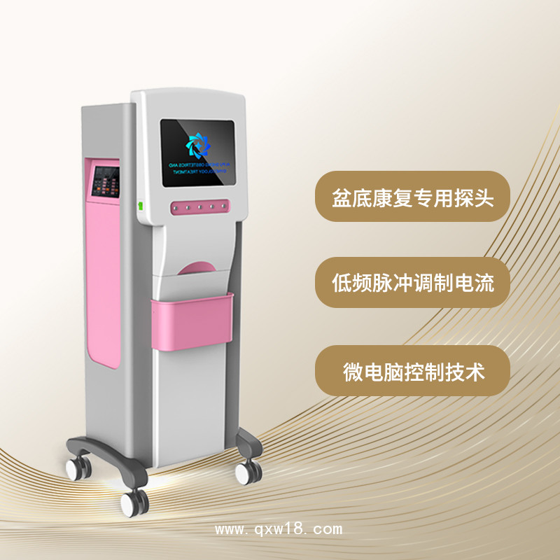 產(chǎn)后康復(fù)治療儀
