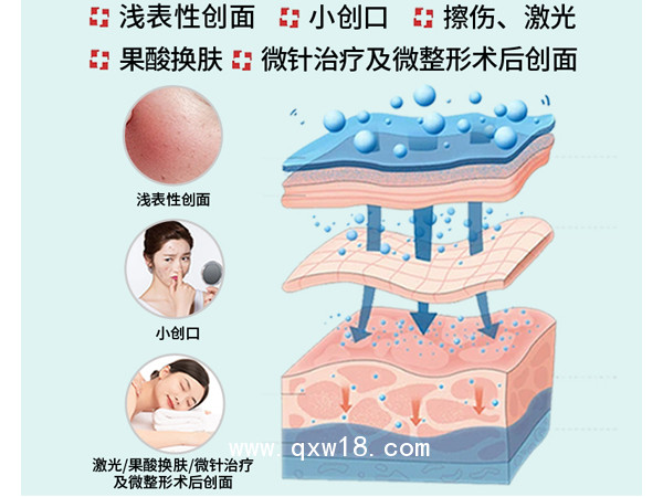 海藻糖醫(yī)用皮膚修護敷料(敷貼型)-OEM貼牌代工-批發(fā)代理