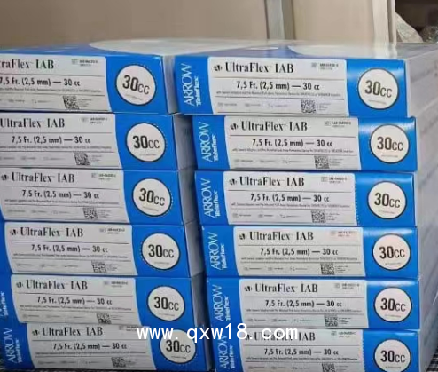 主動(dòng)脈內(nèi)球囊反博導(dǎo)管及附件