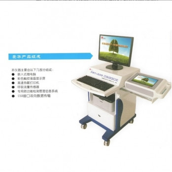 肺功能檢測儀,FGY-200,FGY-300肺功能檢測儀,國產(chǎn)簡易肺部檢查設(shè)備