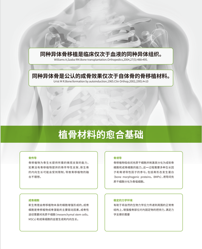 同種異體骨植入材料