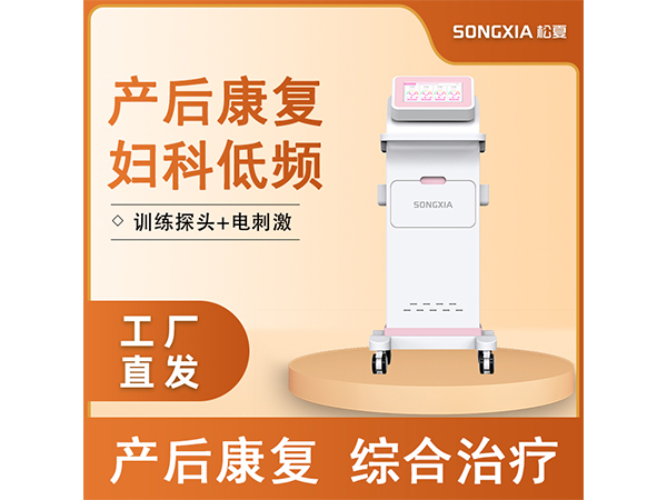 產(chǎn)后康復(fù)儀/婦科低頻脈沖綜合治療儀/盆底康復(fù)治療儀/低頻脈沖