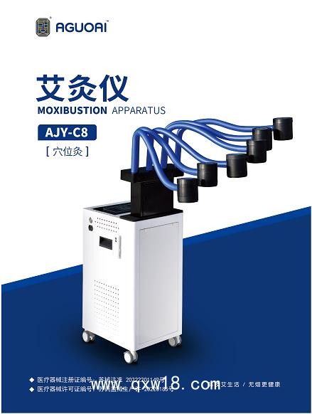 國艾 艾灸儀AJY-C8（穴位灸）