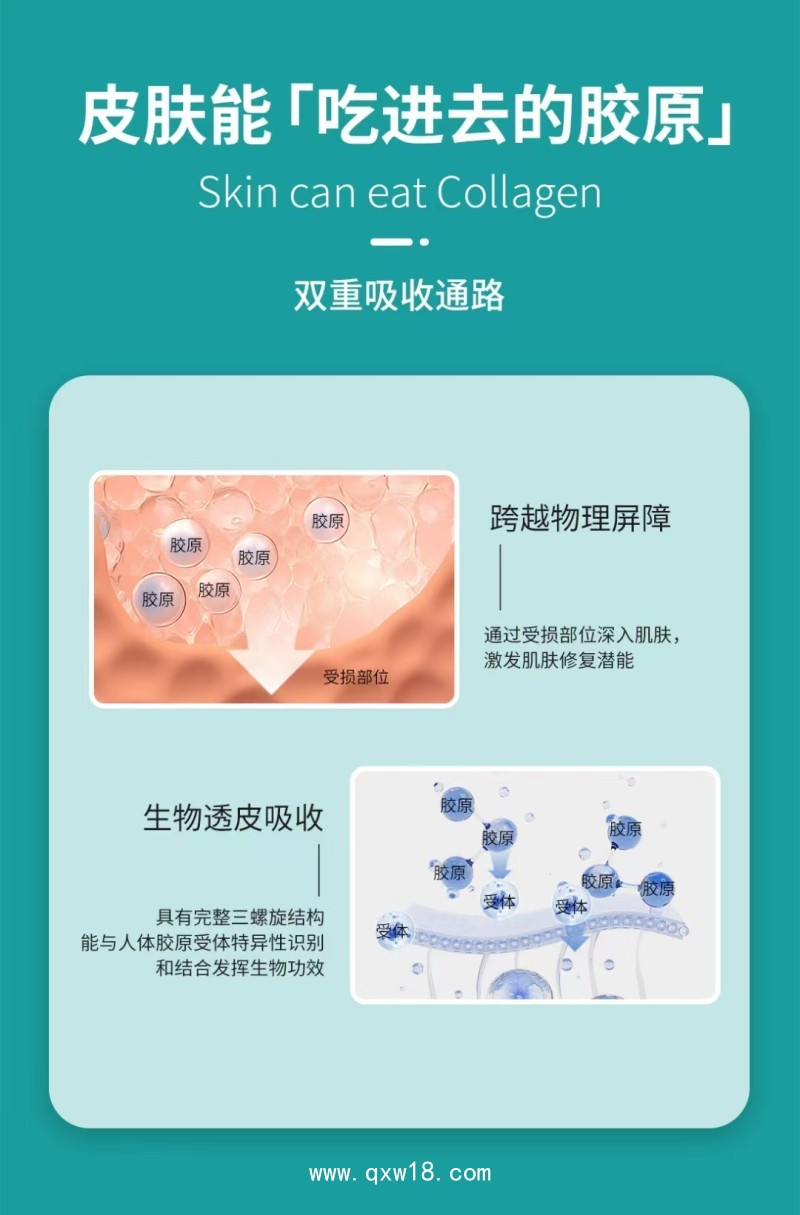 膠原貼敷料—三類文號—廠家直銷 可貼牌代加工