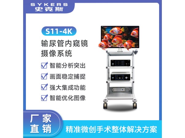 SYKERS 史克斯內(nèi)窺鏡攝像系統(tǒng) 4K攝像系統(tǒng) 輸尿管內(nèi)窺鏡 監(jiān)視器 冷光源 攝像主機(jī) 臺(tái)車
