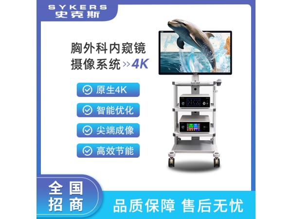 SYKERS 史克斯內(nèi)窺鏡 胸外科內(nèi)窺鏡 4K內(nèi)窺鏡攝像系統(tǒng) 監(jiān)視器 冷光源