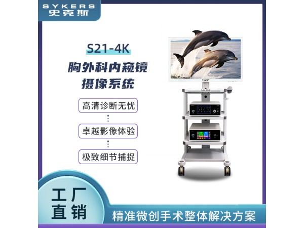 SYKERS 史克斯內(nèi)窺鏡  胸腔鏡 4K內(nèi)窺鏡攝像系統(tǒng) 腹腔鏡