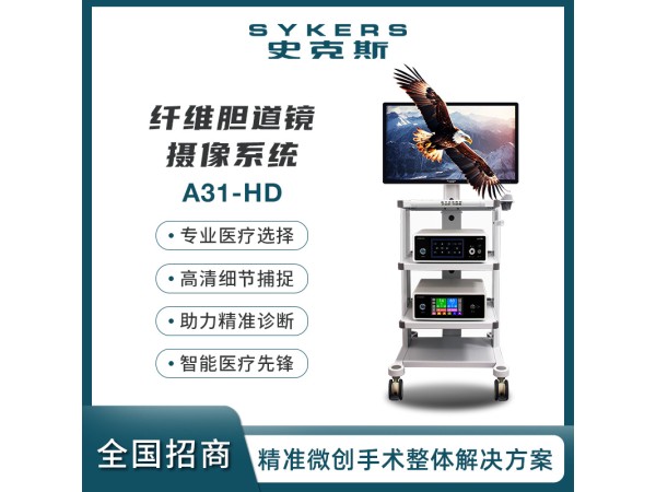 SYKERS 史克斯內(nèi)窺鏡 纖維膽道鏡 攝像系統(tǒng) 高清內(nèi)窺鏡攝像系統(tǒng)