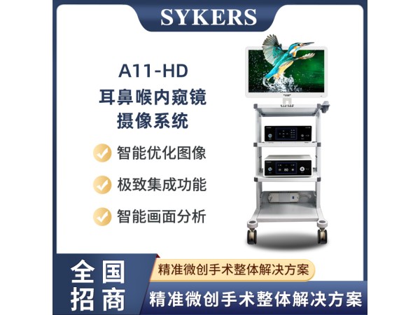 SYKERS 史克斯內(nèi)窺鏡 耳鼻喉內(nèi)窺鏡 高清內(nèi)窺鏡攝像系統(tǒng)