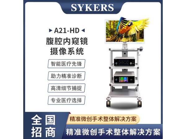 SYKERS 史克斯內(nèi)窺鏡  腹腔內(nèi)窺鏡 高清內(nèi)窺鏡攝像系統(tǒng)