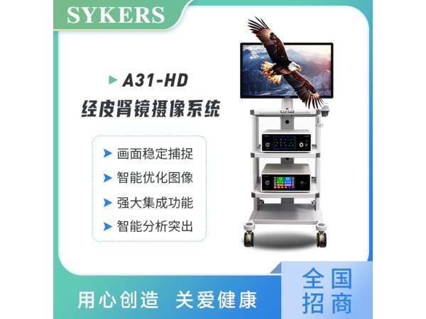 SYKERS 史克斯內(nèi)窺鏡 經(jīng)皮腎鏡攝像系統(tǒng) 高清內(nèi)窺鏡攝像系統(tǒng)