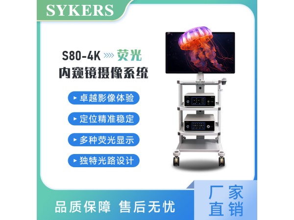 SYKERS 史克斯內(nèi)窺鏡  熒光腹腔鏡 內(nèi)窺鏡攝像系統(tǒng)