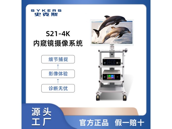 SYKERS 史克斯內(nèi)窺鏡 4K纖維鼻咽喉鏡攝像系統(tǒng) 便攜攝像系統(tǒng)