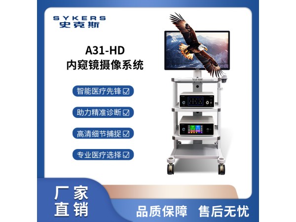 SYKERS 史克斯內(nèi)窺鏡 支撐喉鏡攝像系統(tǒng) 支撐喉鏡 喉鏡