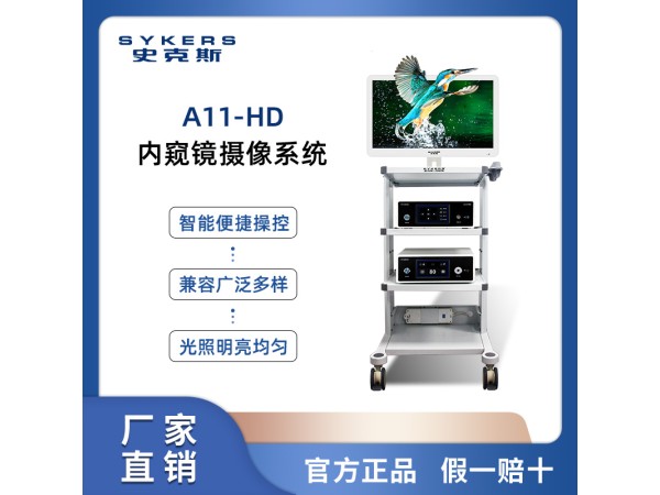 SYKERS 史克斯內(nèi)窺鏡 高清膀胱鏡攝像系統(tǒng) 前列腺電切鏡