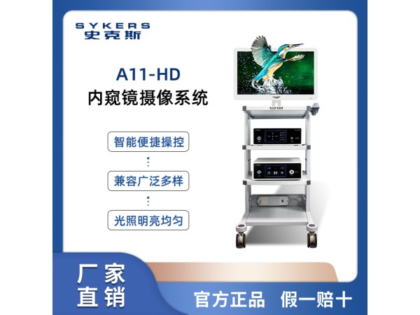 SYKERS 史克斯內(nèi)窺鏡 高清纖維支氣管鏡 呼吸科內(nèi)窺鏡