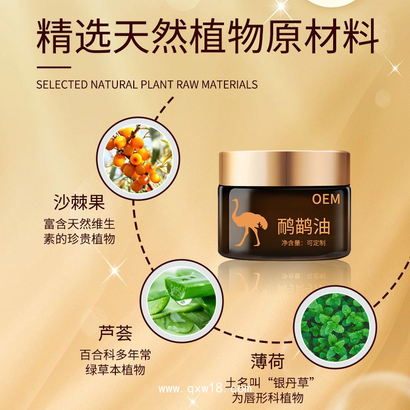 鴯鹋油貼牌加工 肩頸背通經(jīng)活絡(luò)按摩膏廠家代加工