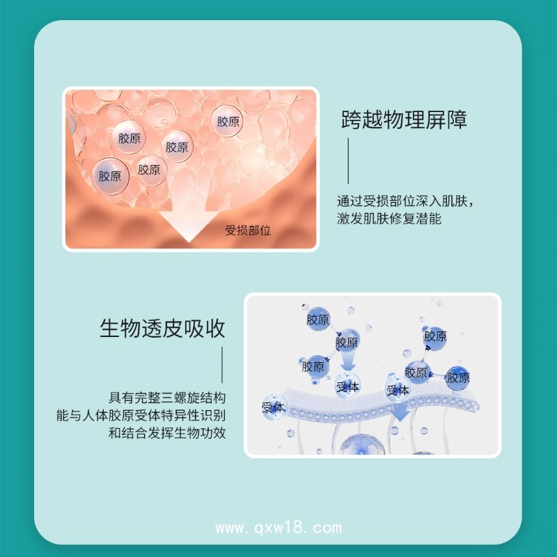 膠原貼敷料面膜OEM代加工廠家/三類械字號支持來圖來樣定制