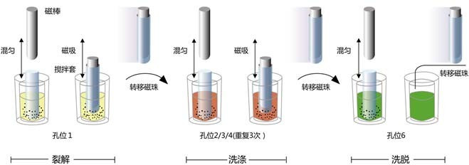 1543550516801415.jpg 微信圖片_20181122094457.jpg