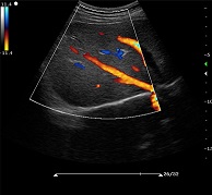 圖片關(guān)鍵詞