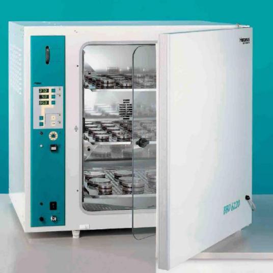 1670296739465642.jpg 33.jpg