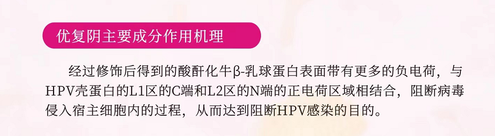 1701846993856537.png image.png