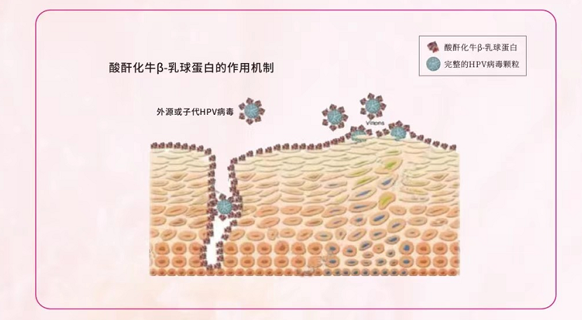 1701847048610075.png image.png