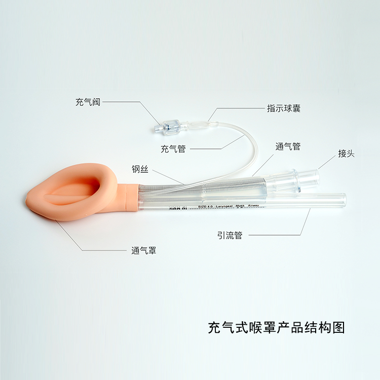 喉罩（結(jié)構(gòu)圖）.jpg