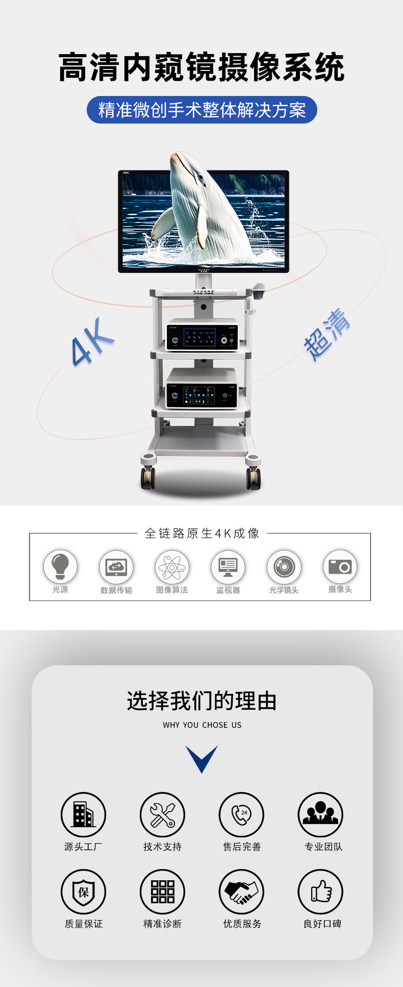 1744186547924856.png 4K詳情圖-2 (1).png